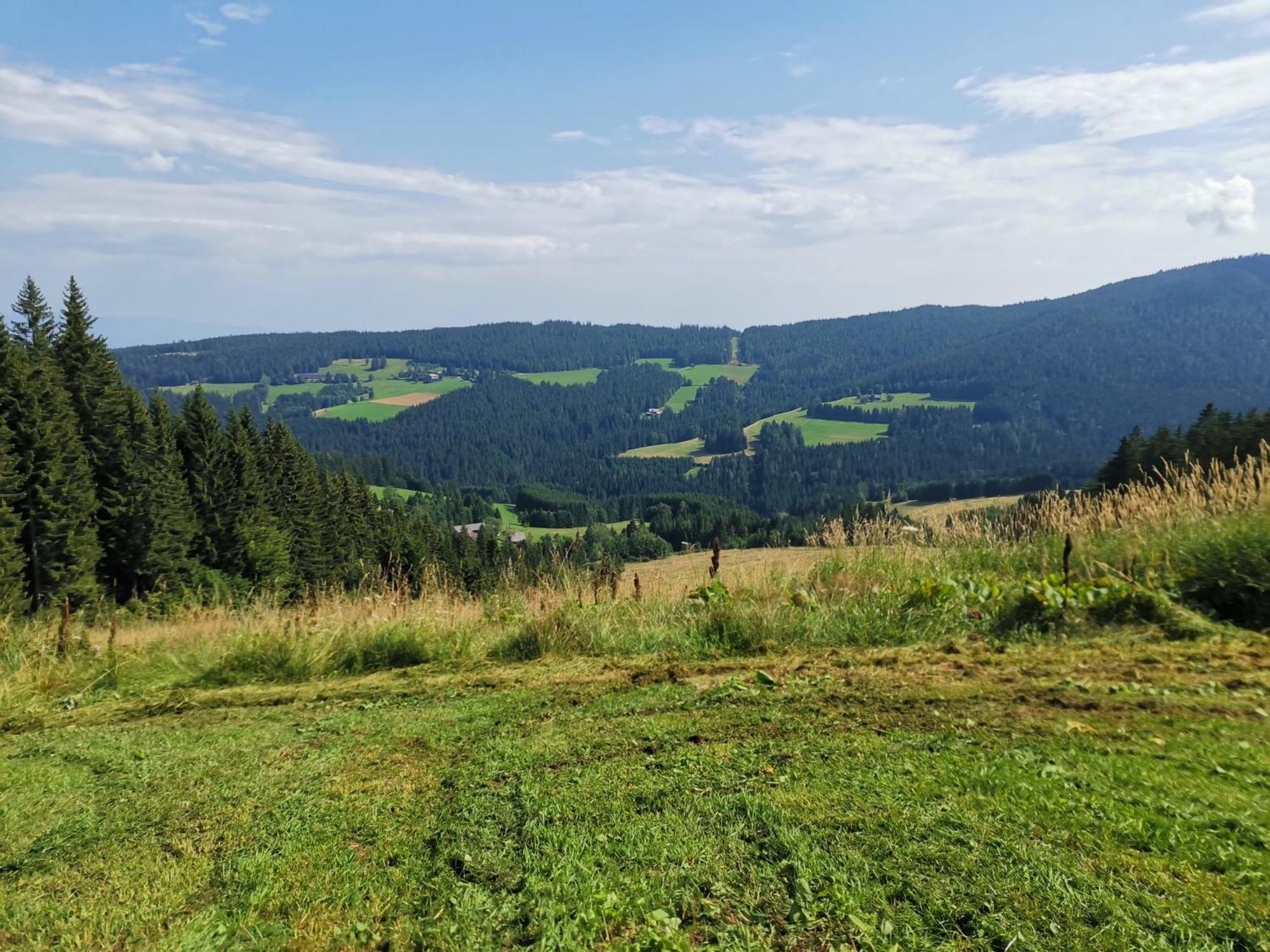 Pack Gaestehaus Hebalm, Family & Friends Auf 900 M2 Wohnflaeche Erleben, Alleinnutzung Moeglich מראה חיצוני תמונה